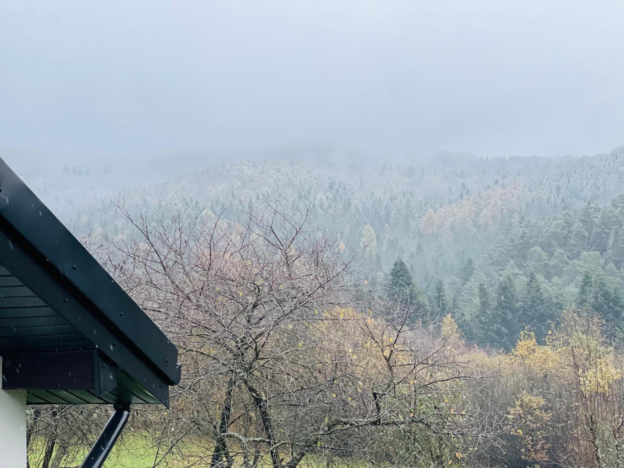 Zacisze Na Podzamczu