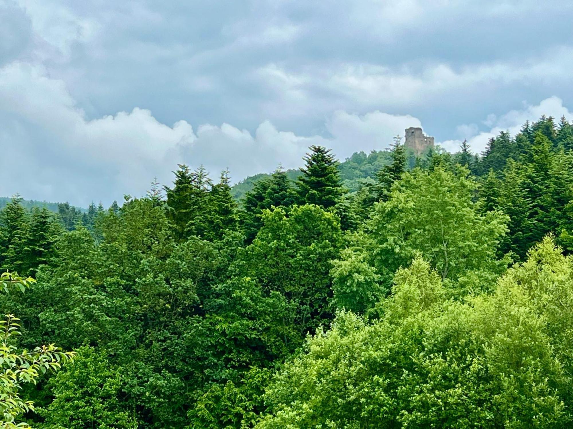 Zacisze Na Podzamczu