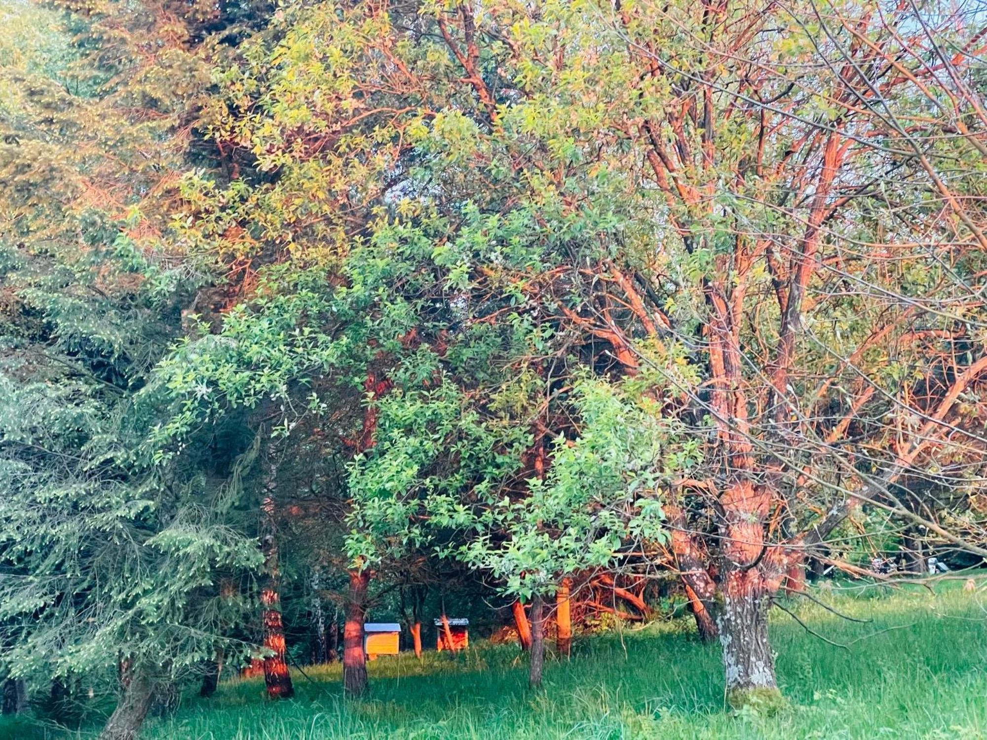 Zacisze Na Podzamczu *